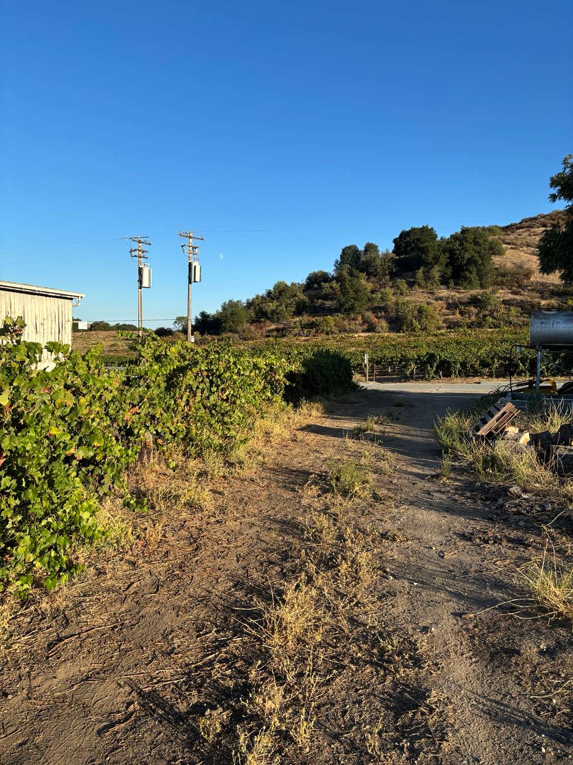 Parking Site D
