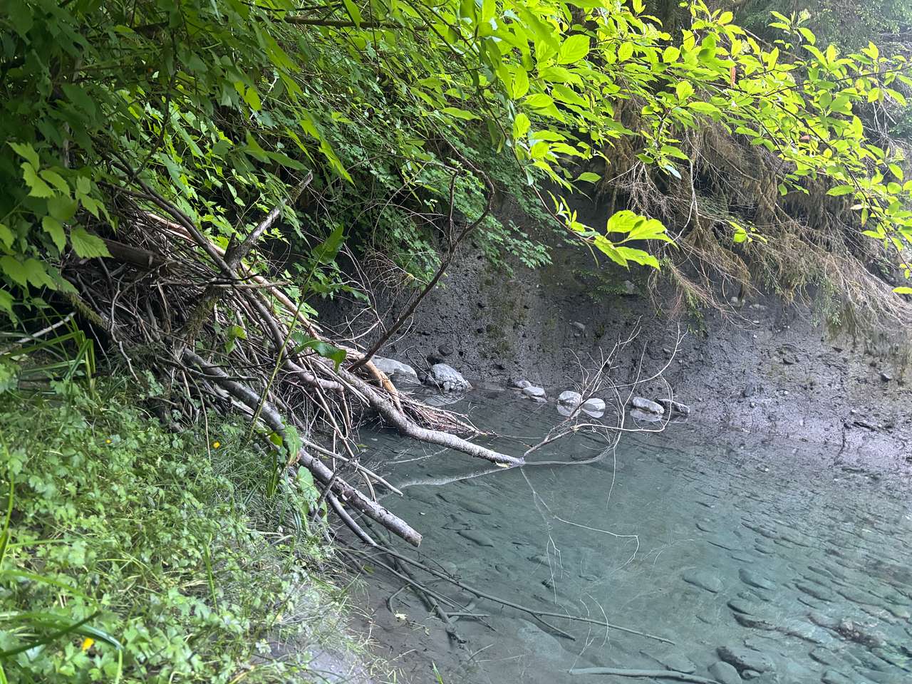 A secluded lagoon that is far deeper than pictures make it look, and off of the main river. It is the water route that creates our island, and with sandy beaches as well as river rock ones, it is simply magical! It is incredible and pictures never do it any justice! 