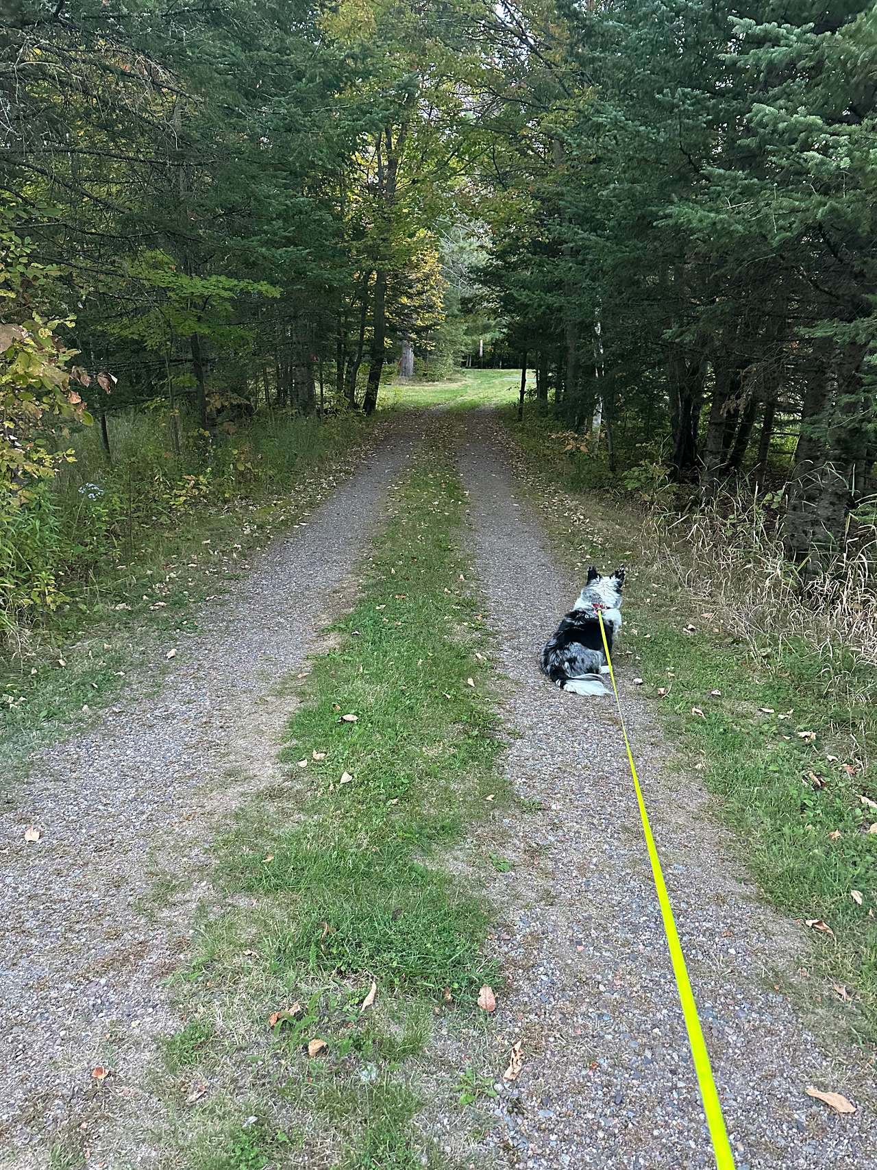 Livin’ the Mökki Life