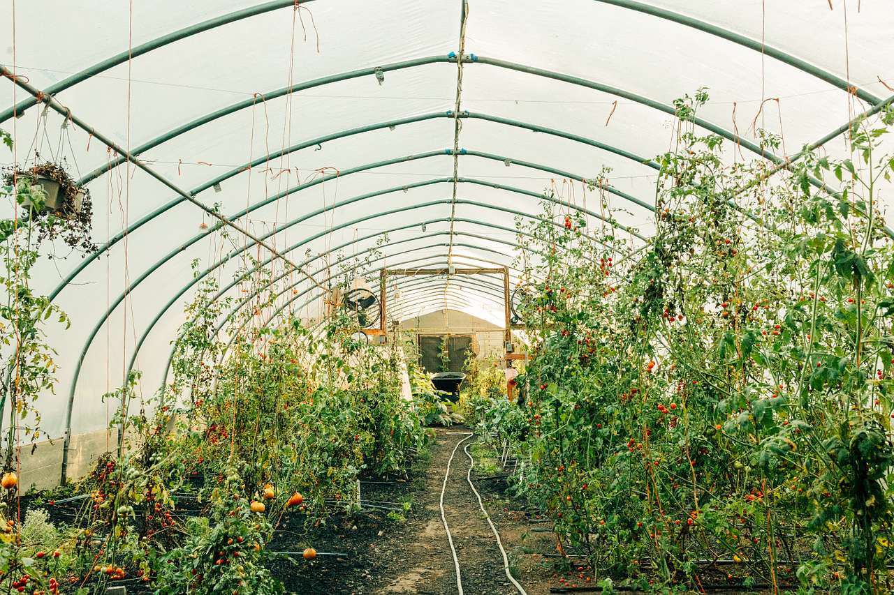 Indoor greenhouse was really cool to see!