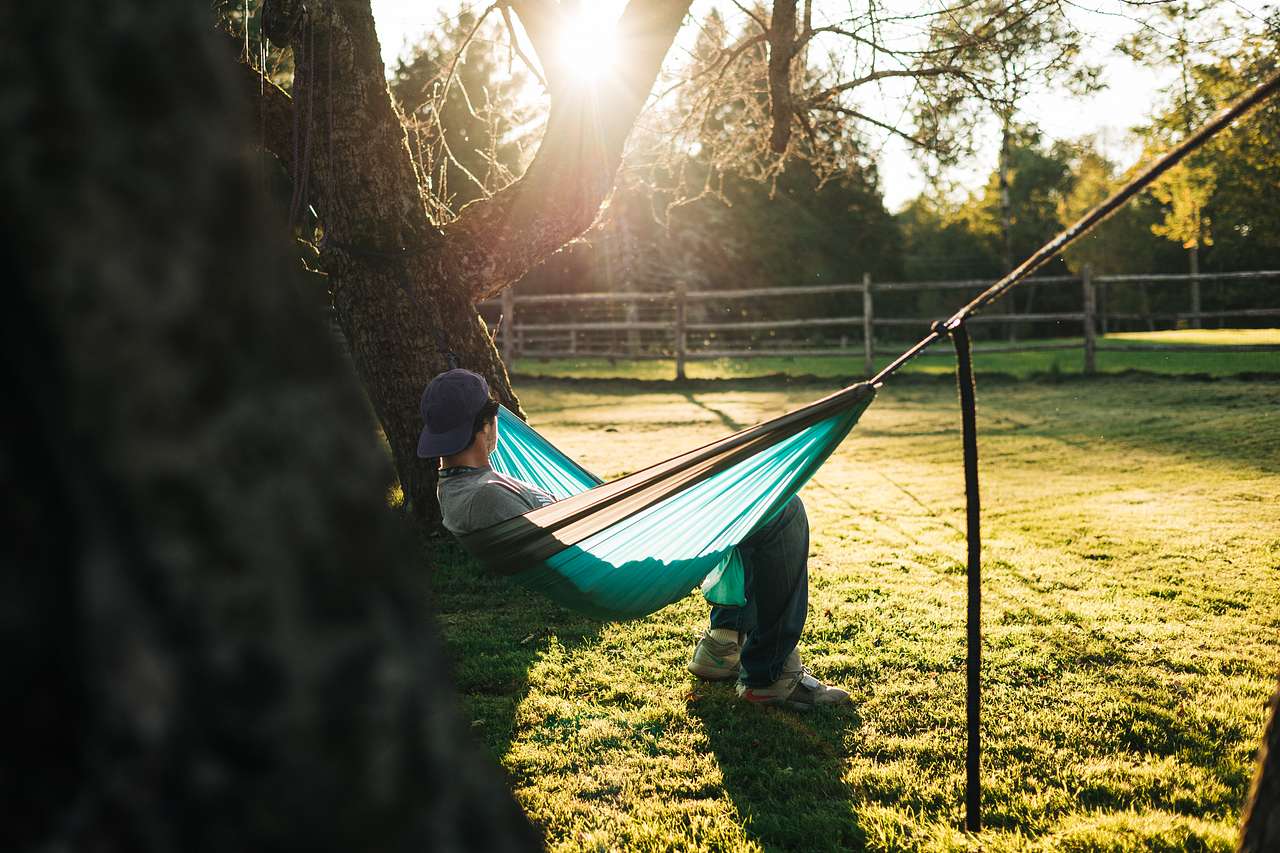 The trees are perfect for a hammock