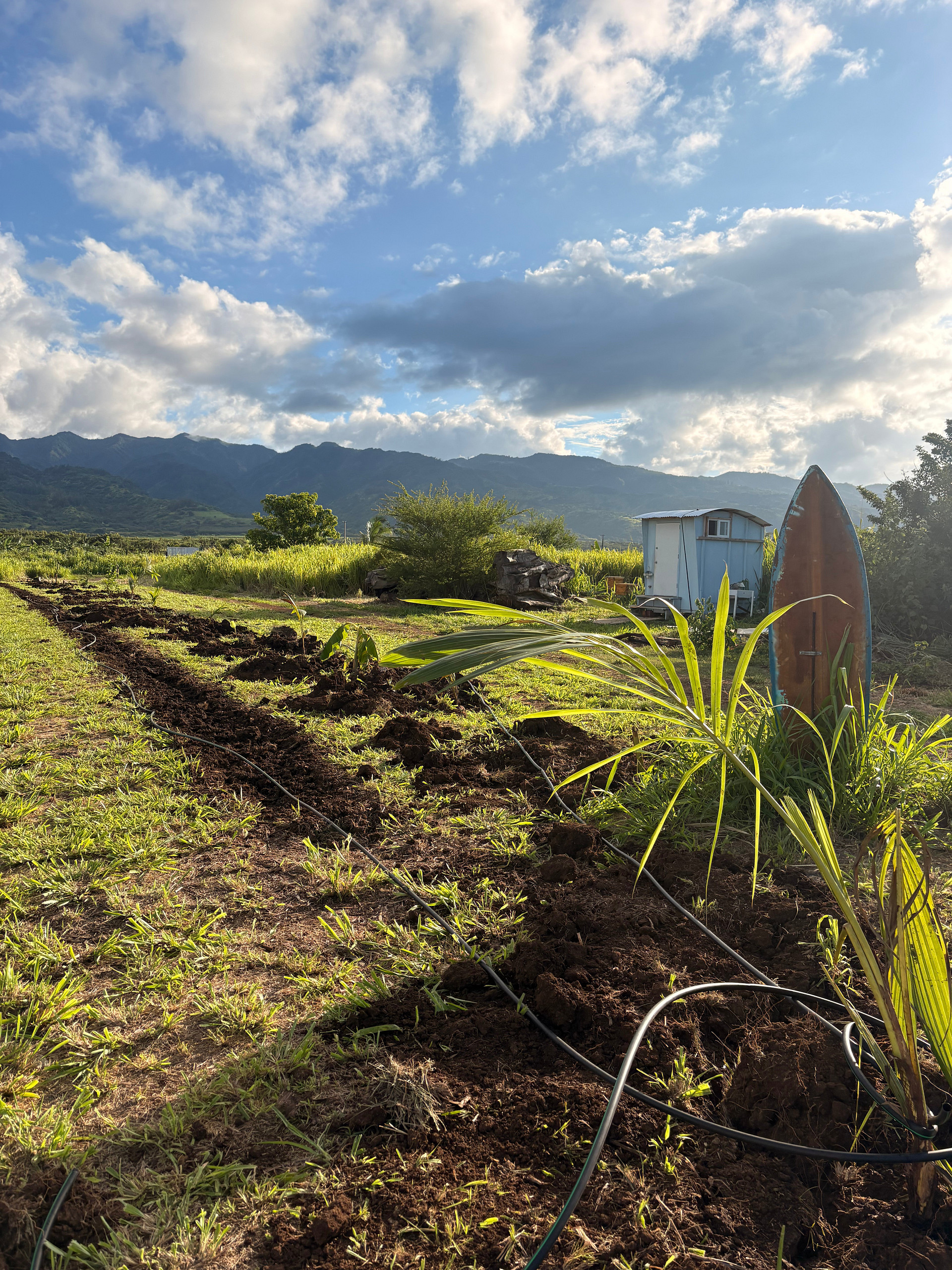 Totonami Farm