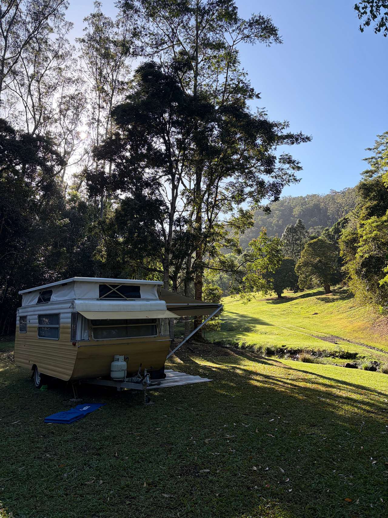 Stargazer Camp