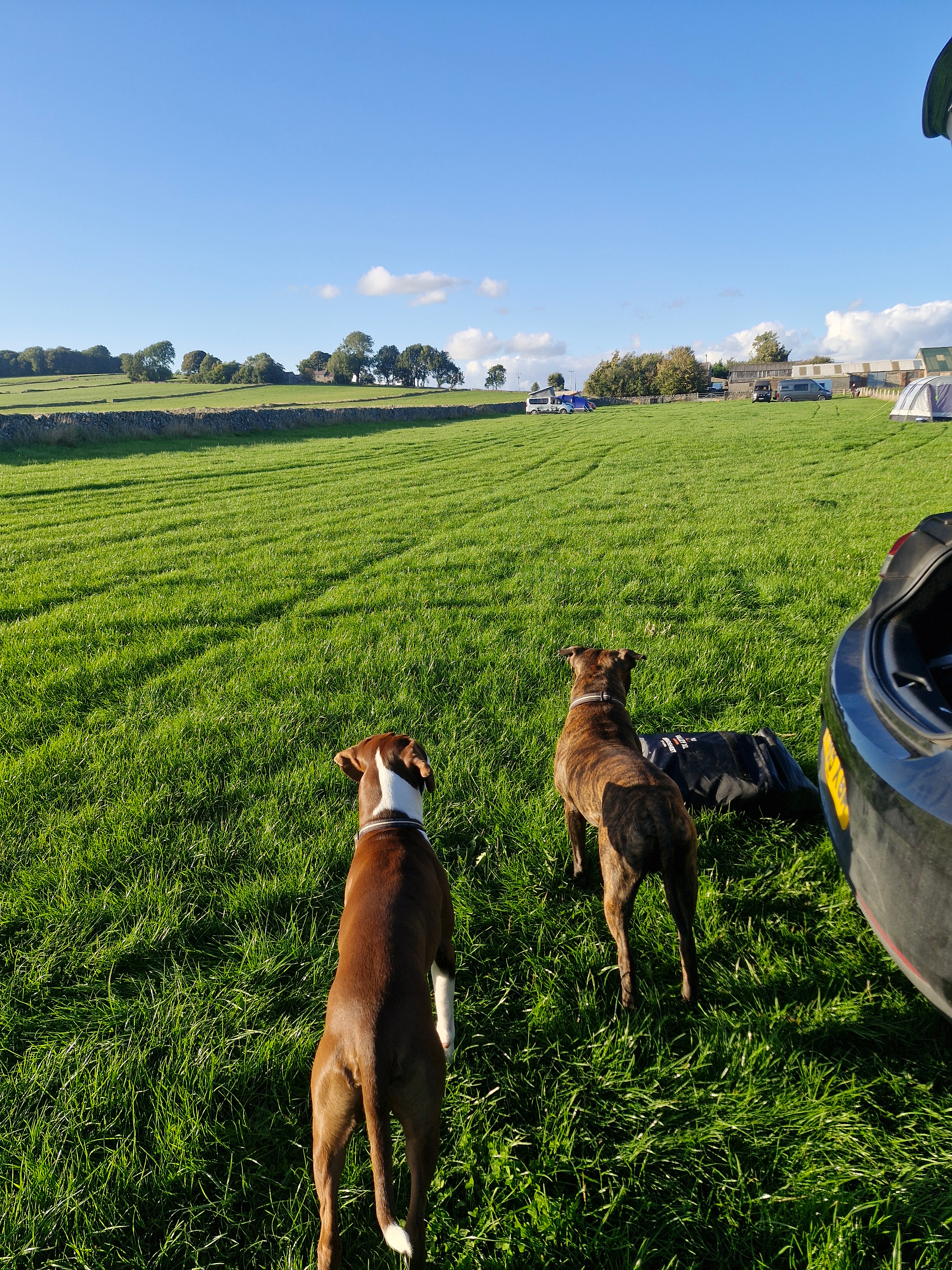 Damside Campsite