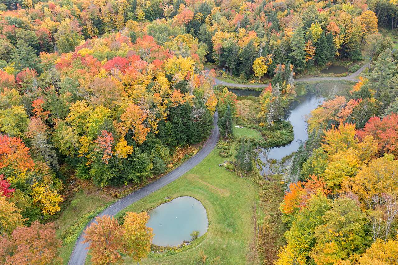 Shadow Pond on 28 Peaceful Acres