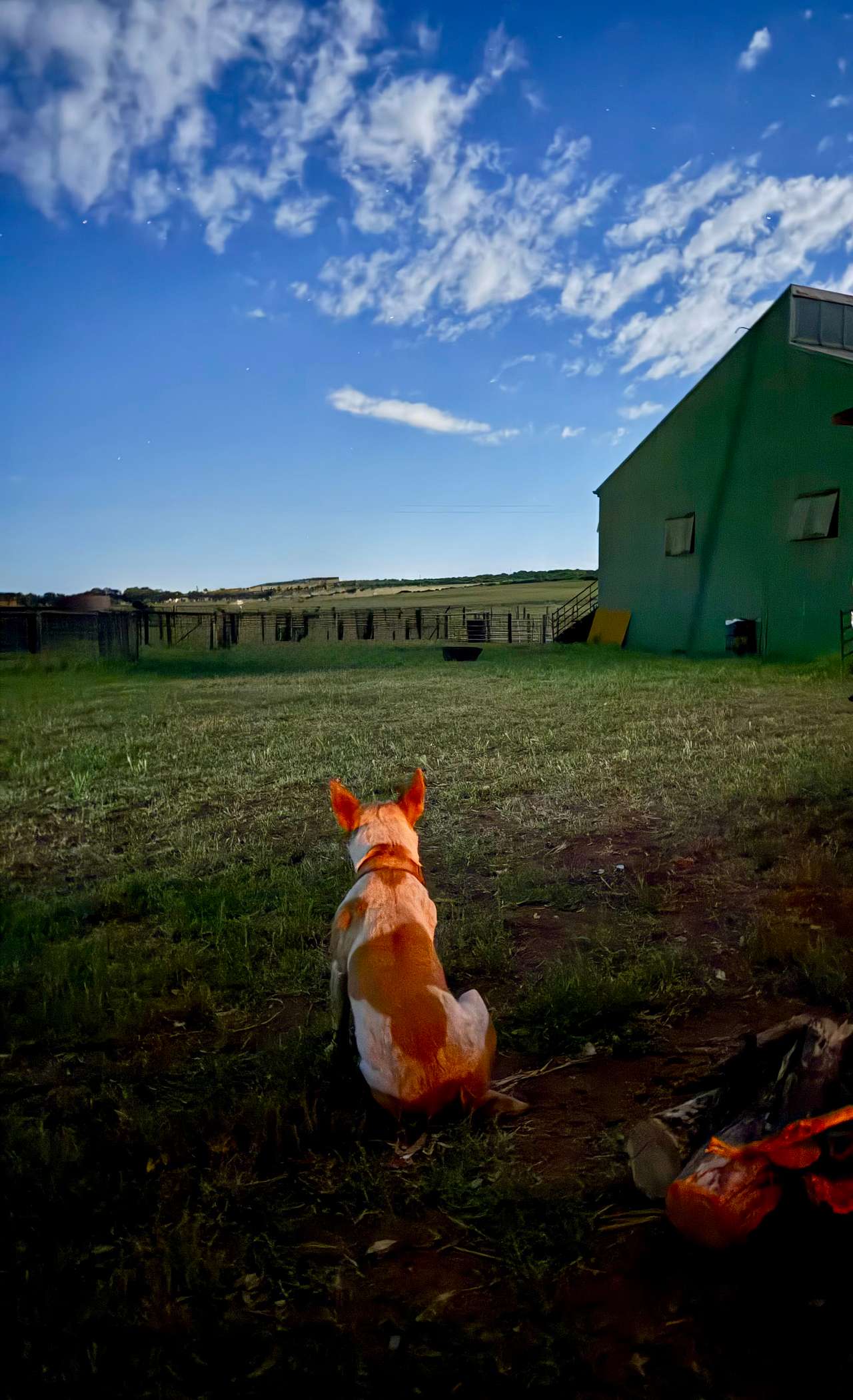 Sweetest camp host 🧡