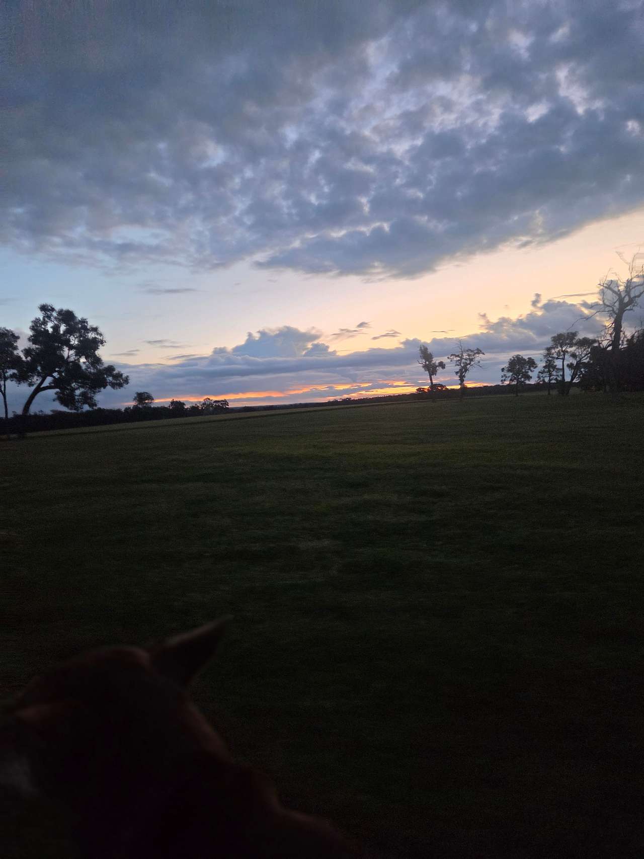 “Clear View” Farmstay and Camping