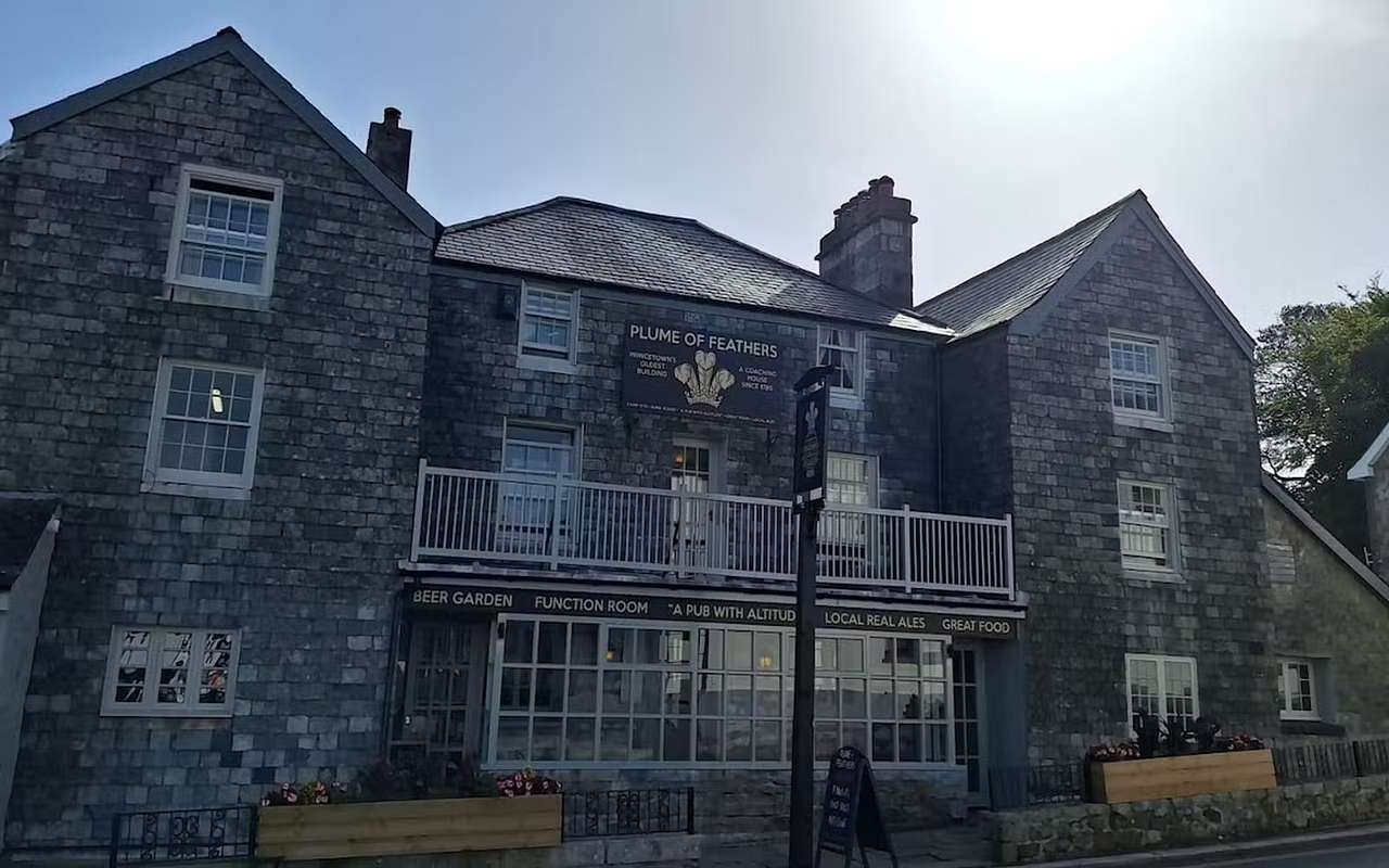 PLUME OF FEATHERS DARTMOOR