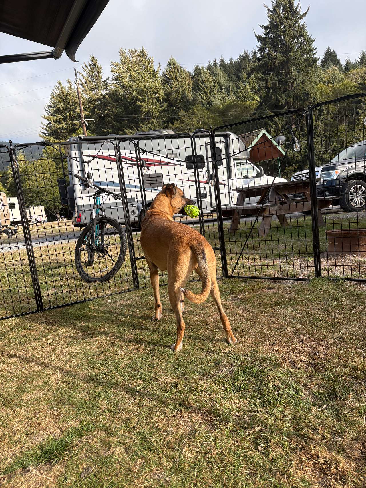 Elk Country RV Resort & Campground