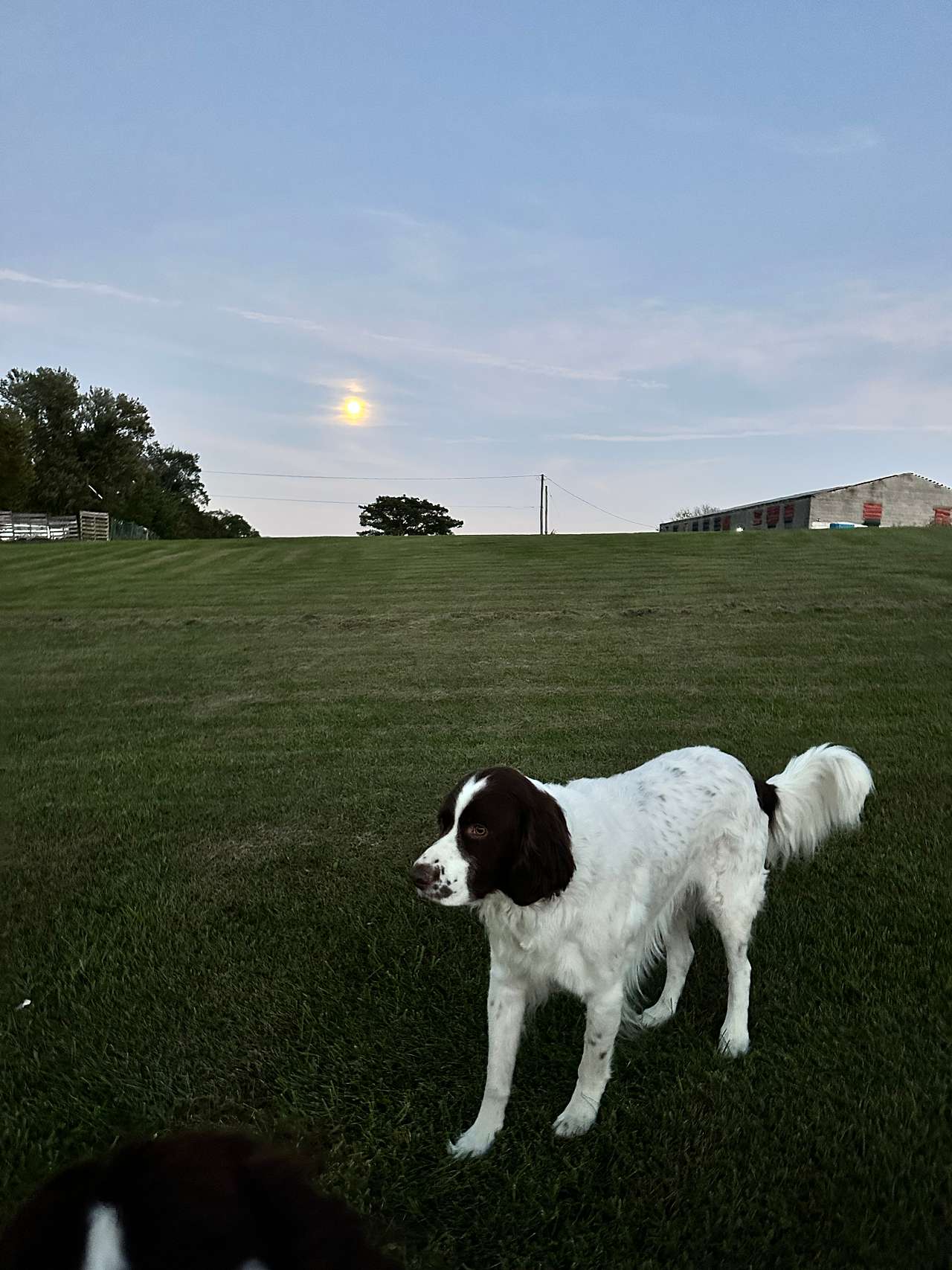 Full moon! Bright as day. This was at 2am. 