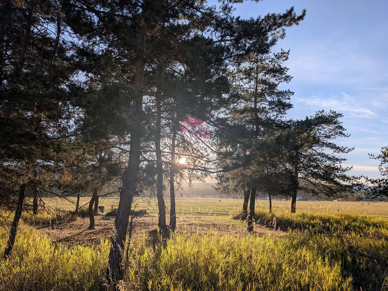 Tree Line Camp — Swan Range Views, Kalispell