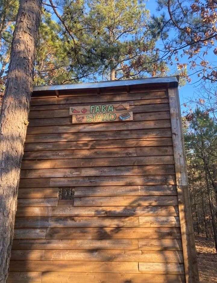 Blue Mountain Off Grid