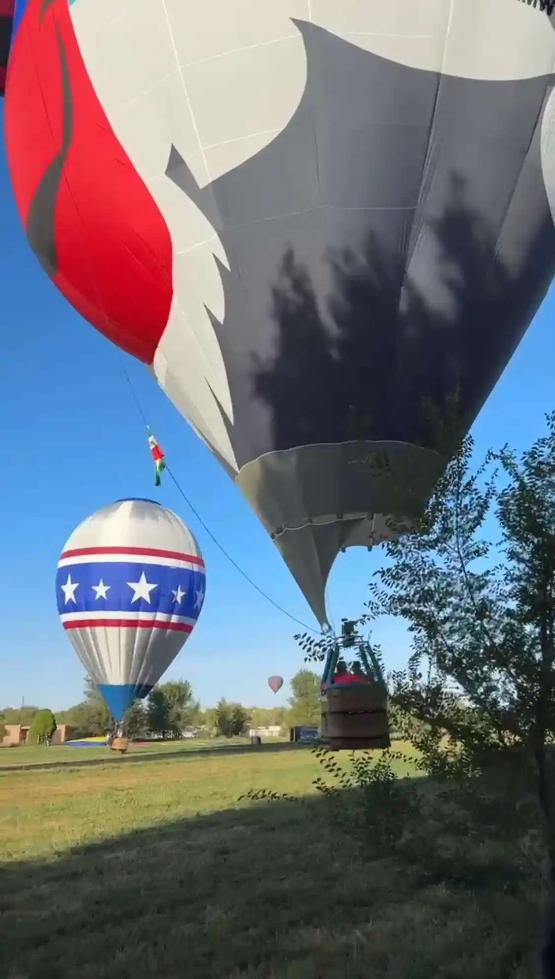 Balloon Fiesta Farm Oasis 3