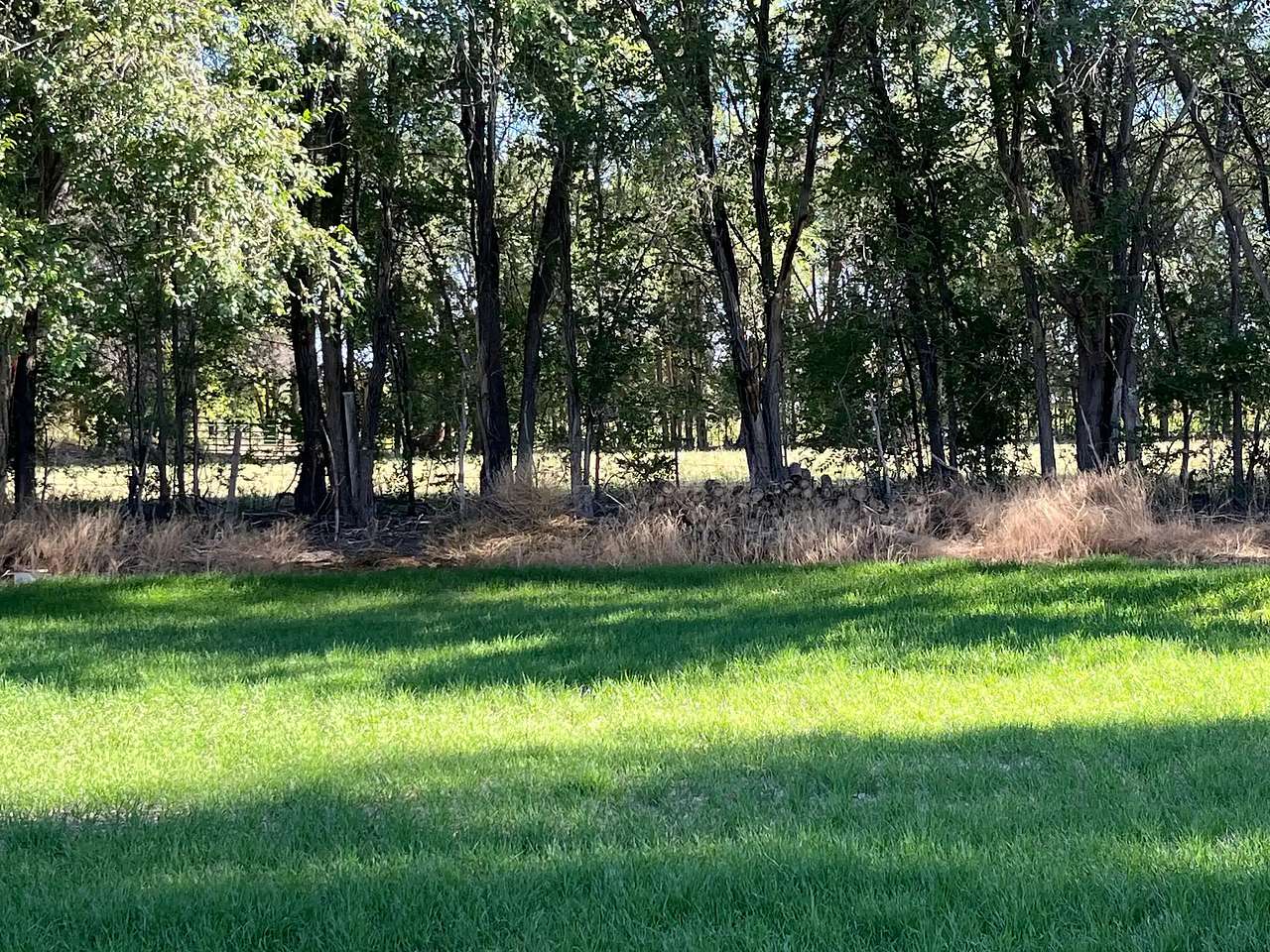 Balloon Fiesta Farm Oasis 3