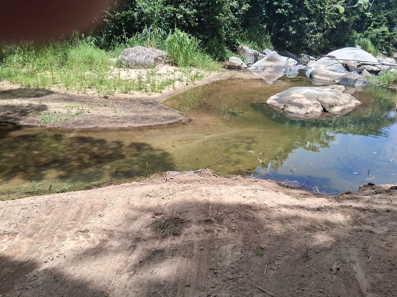 Finca periquito
