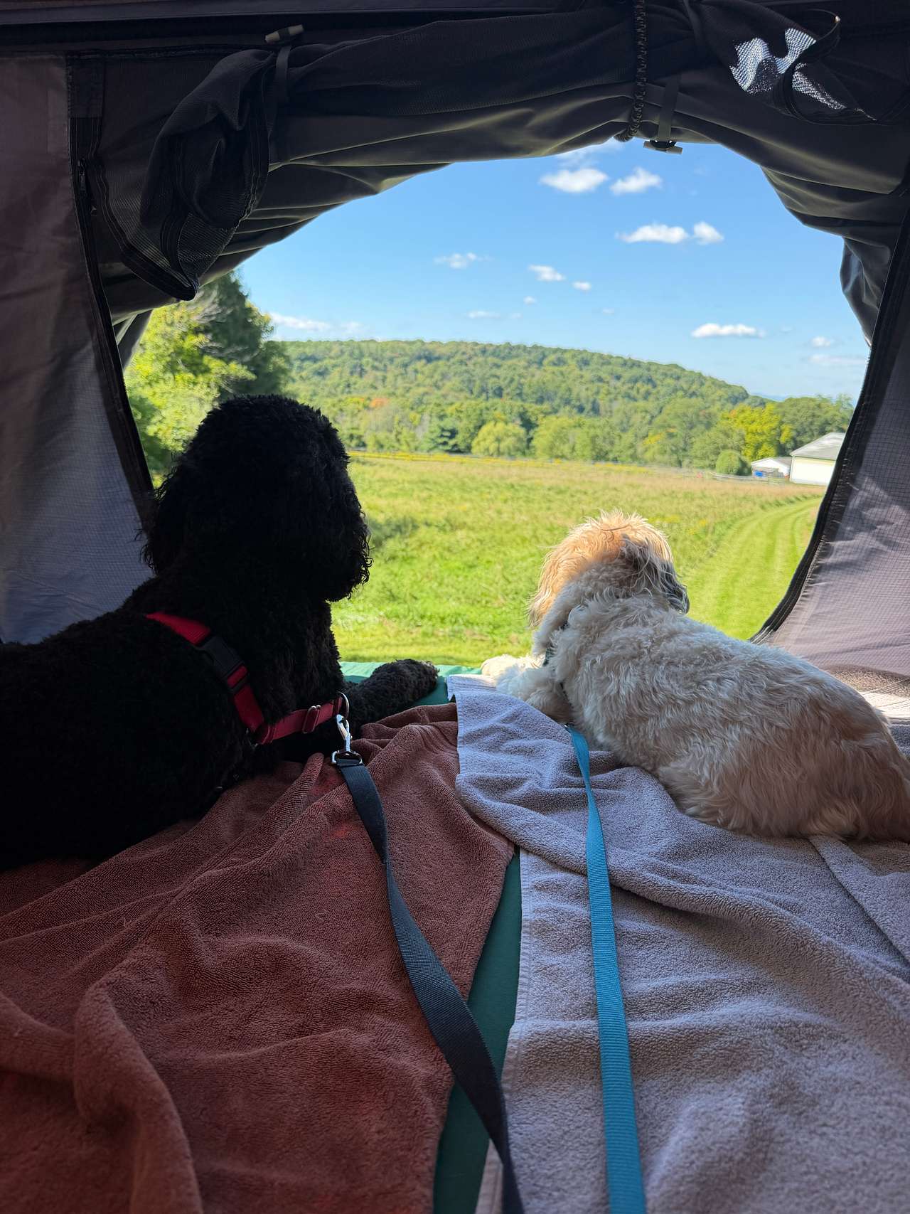 Hudson Valley Farm Escape