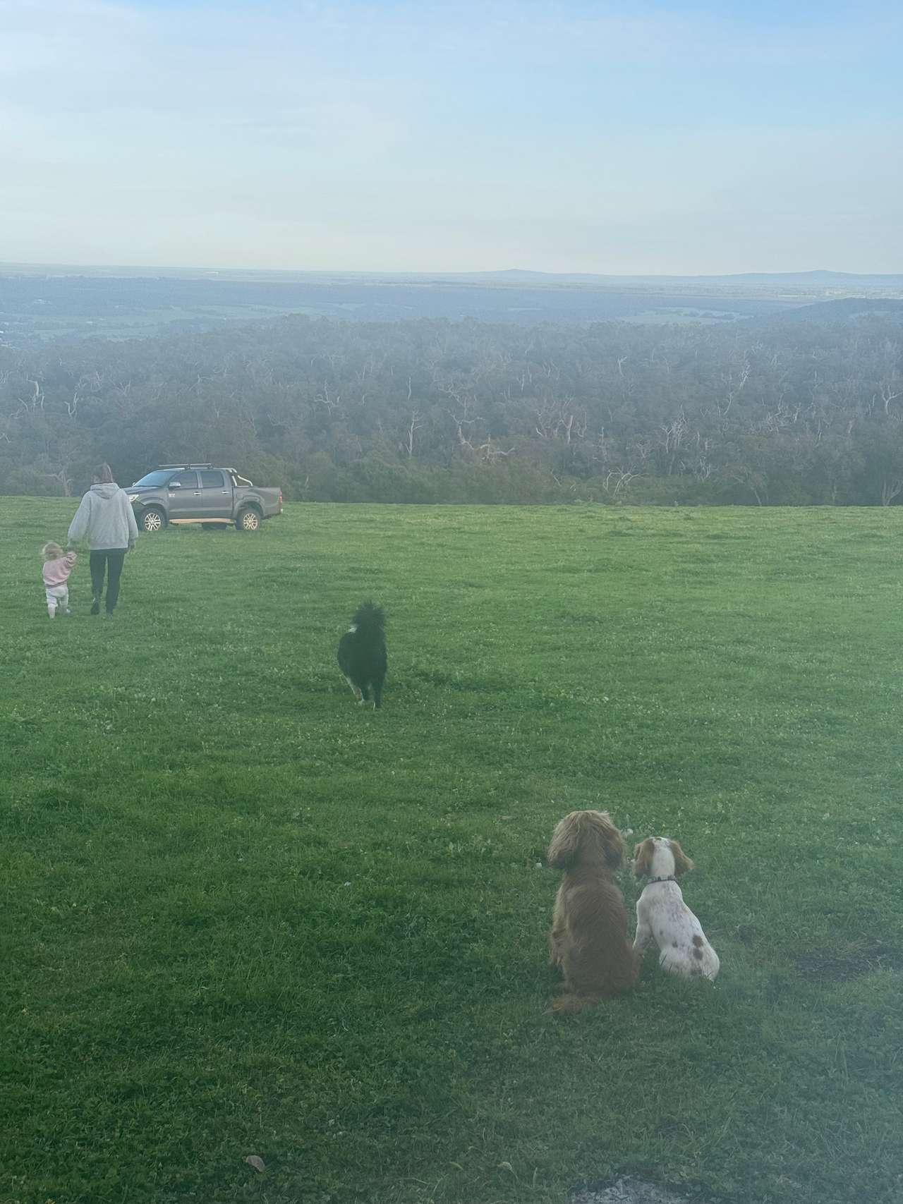 Gull Rock Farm