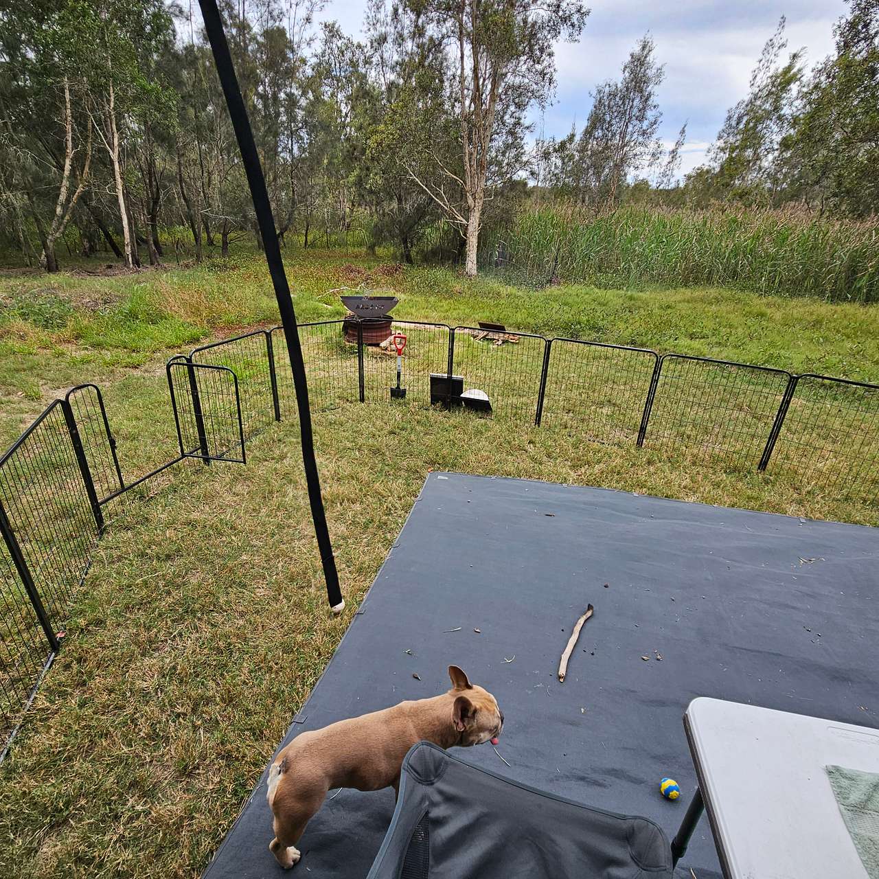 Shark Creek Retreat