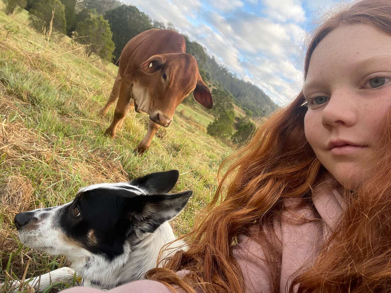 Little Red Tractor Farm