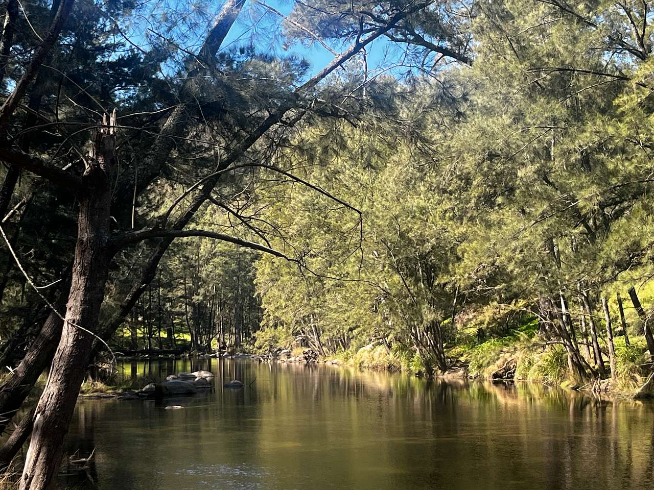 Cox's Riverside Camping