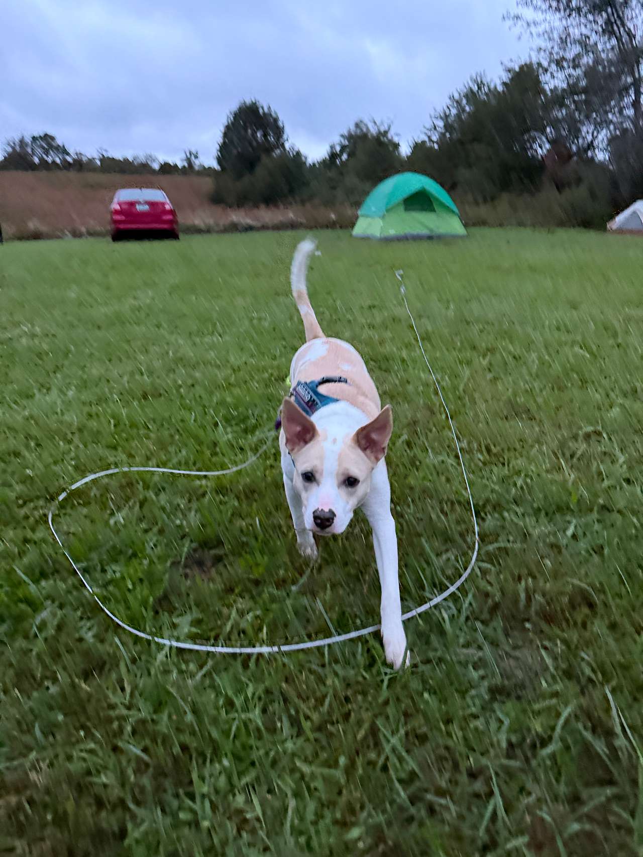 our little guy had plenty of space!