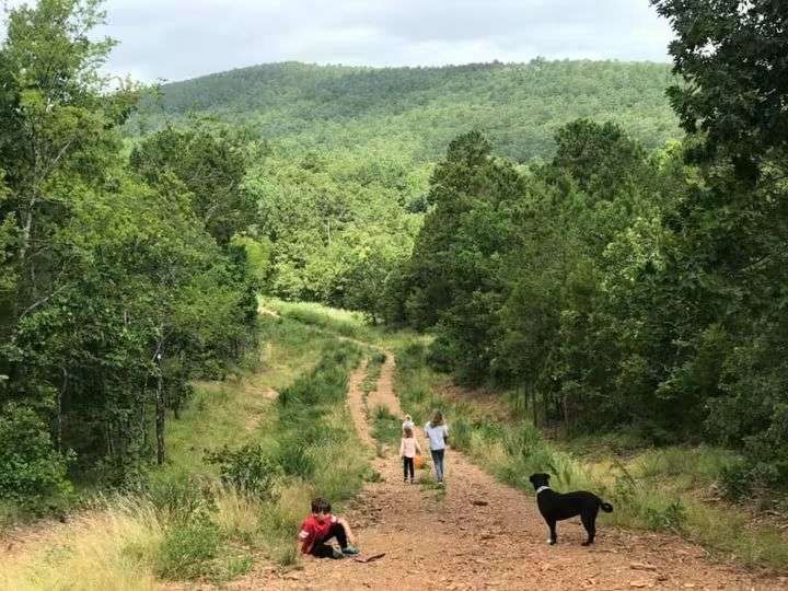 Blue Mountain Off Grid