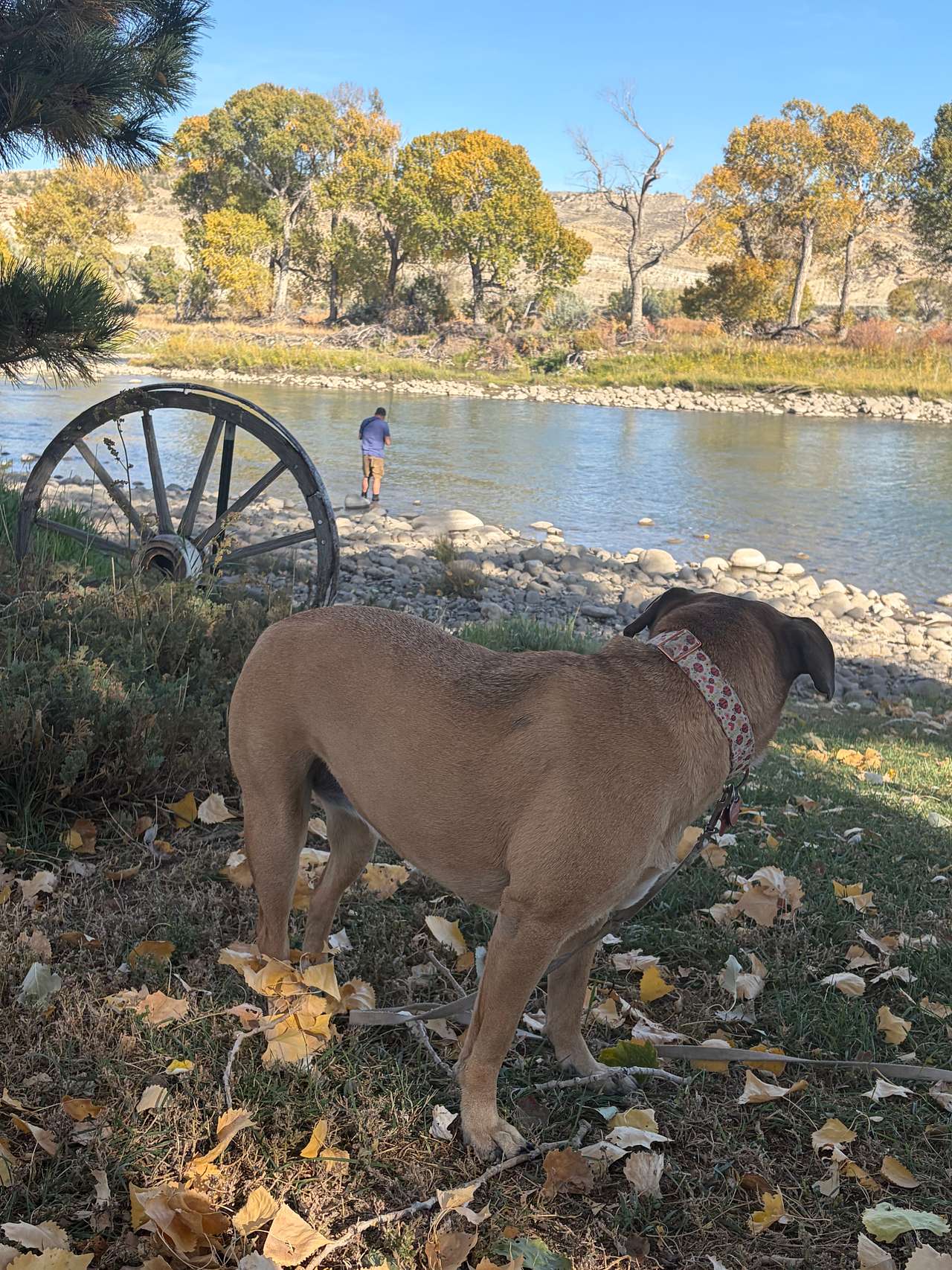Chance, Montana by River