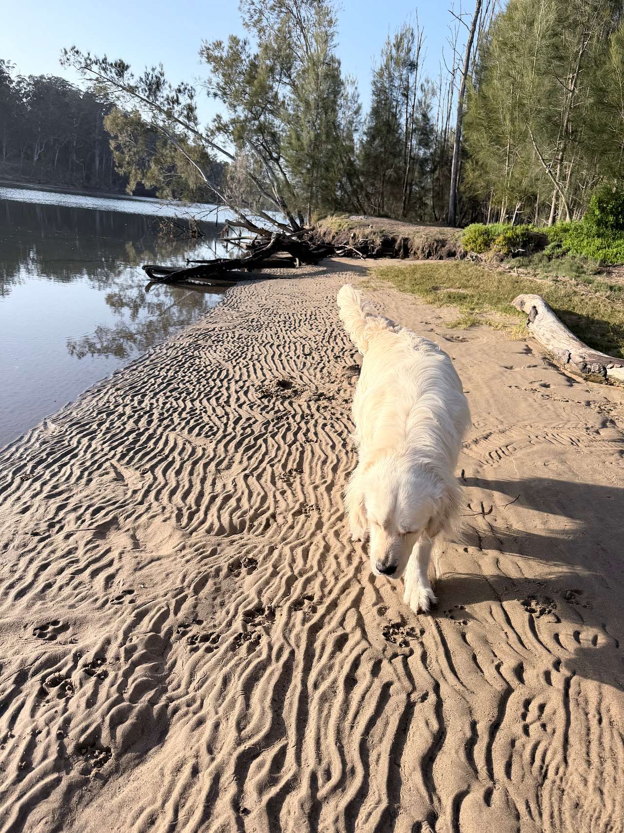Big Island Bend on the Clyde River