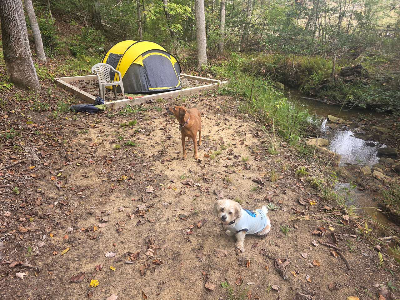Creek Camp