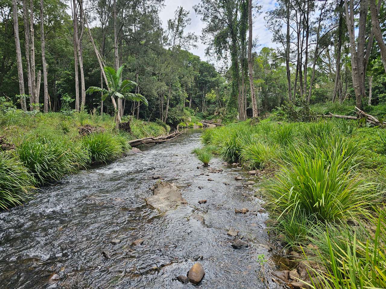 Tallebudgera Veg Sanctuary.