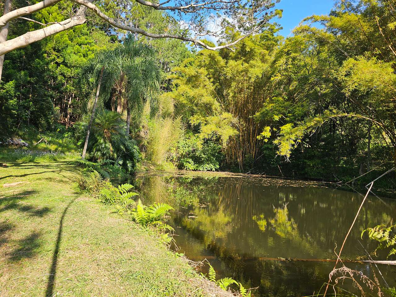 Tallebudgera Veg Sanctuary.
