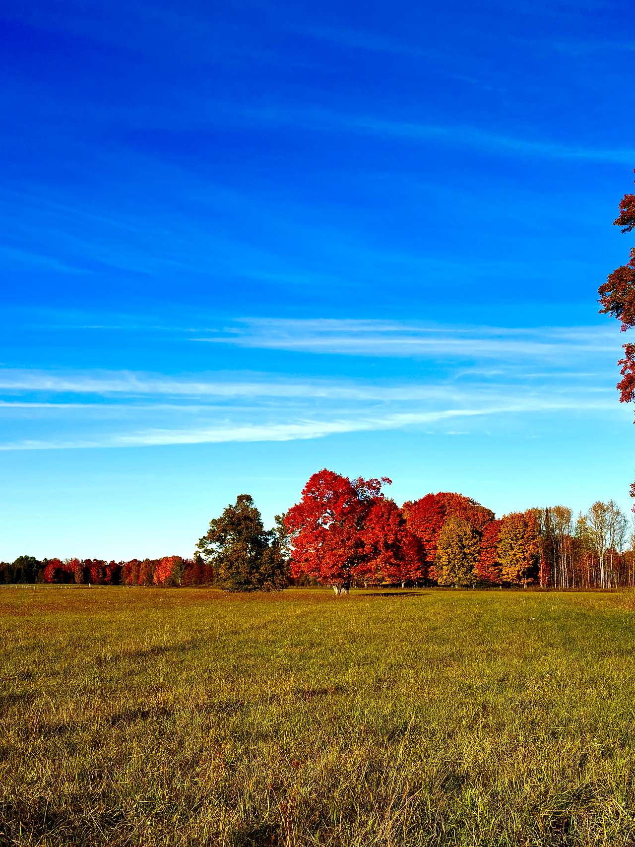 North 41 Place & Woodland Meadows