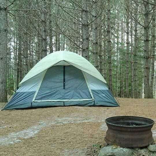 Wilderness Pines Campground