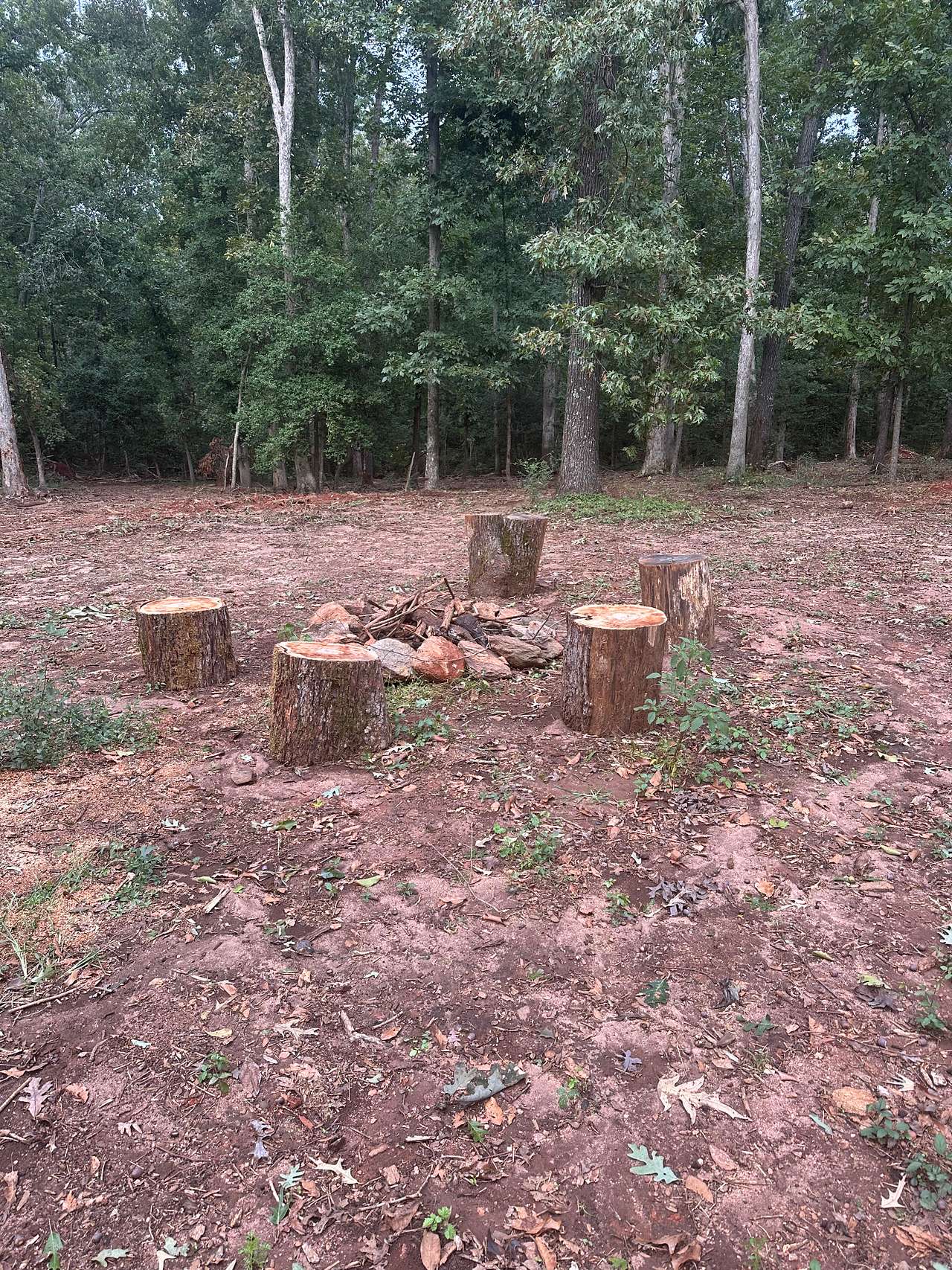Community fire pit