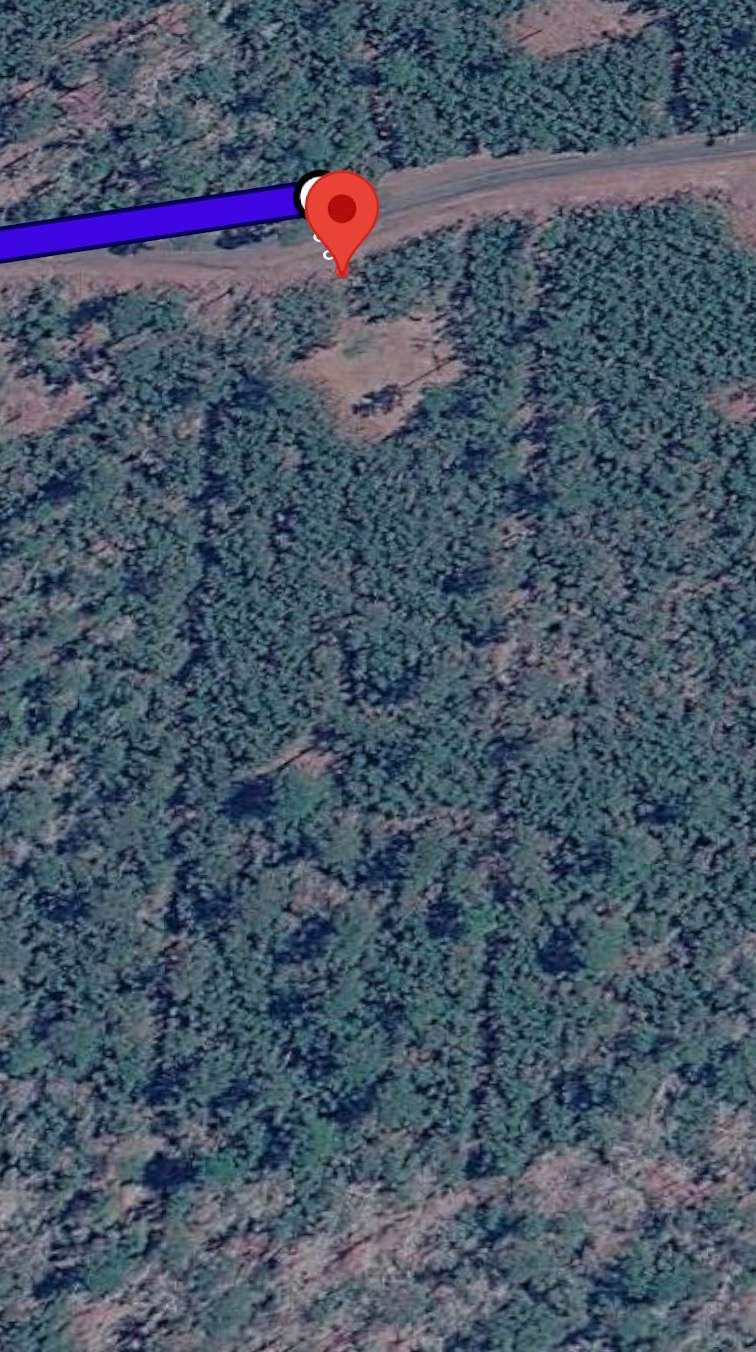 Tarver Campground