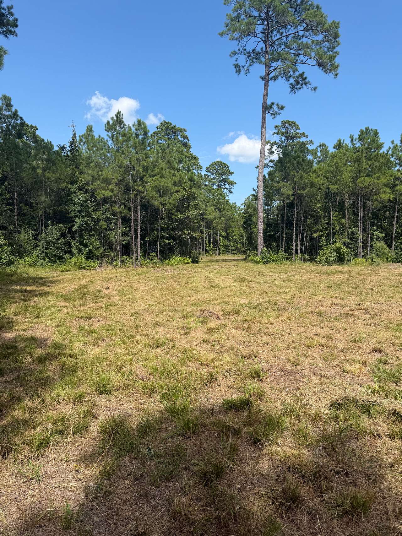 Tarver Campground