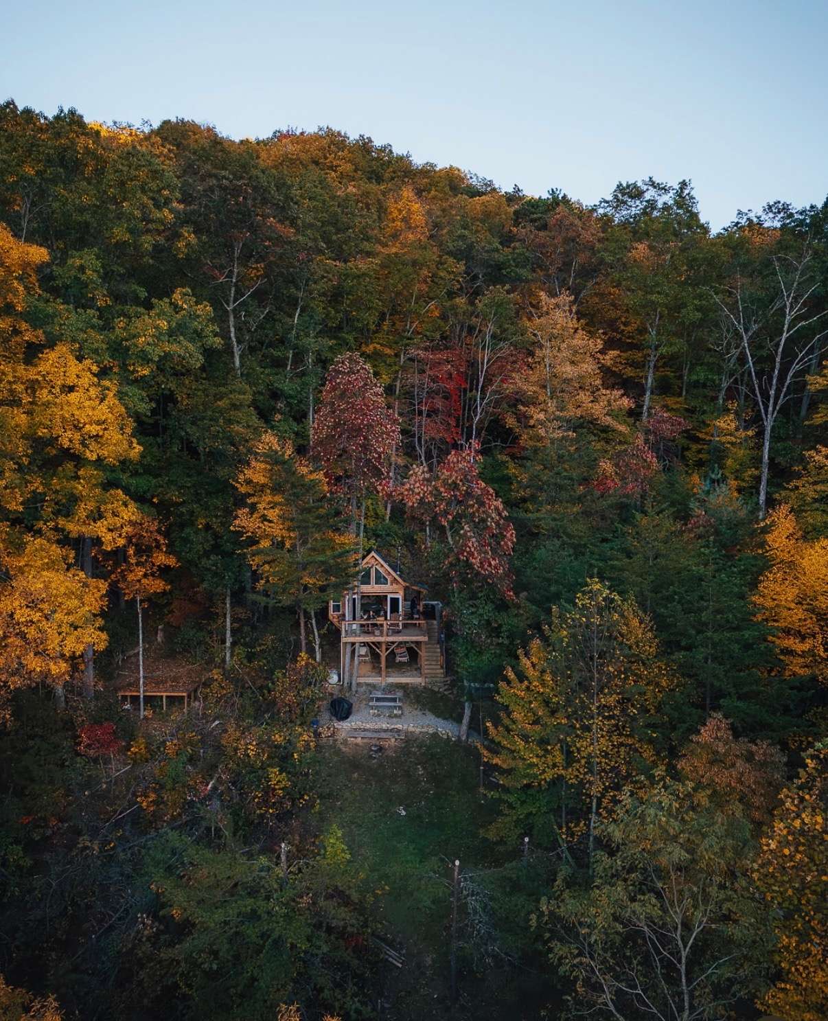 Highland Cow Off-Grid Treehouse