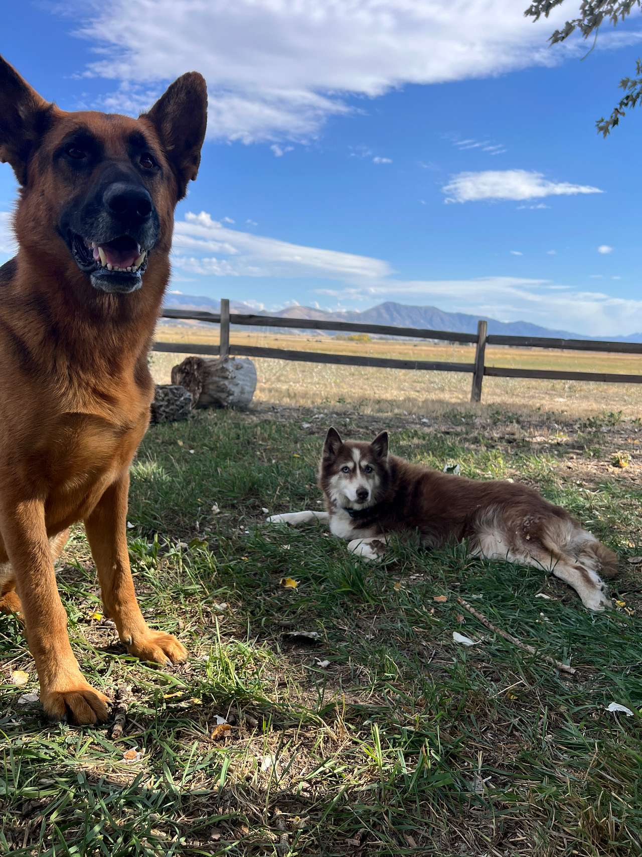 Secret Canyon Ranch