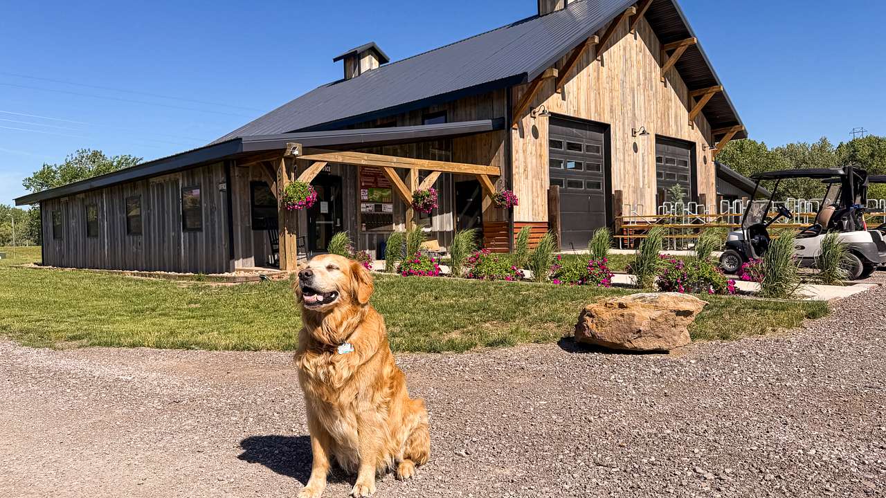 Black Hawk Creek RV Park & Cabins is pet friendly. Bring your furry friend, as long as they're not aggressive.