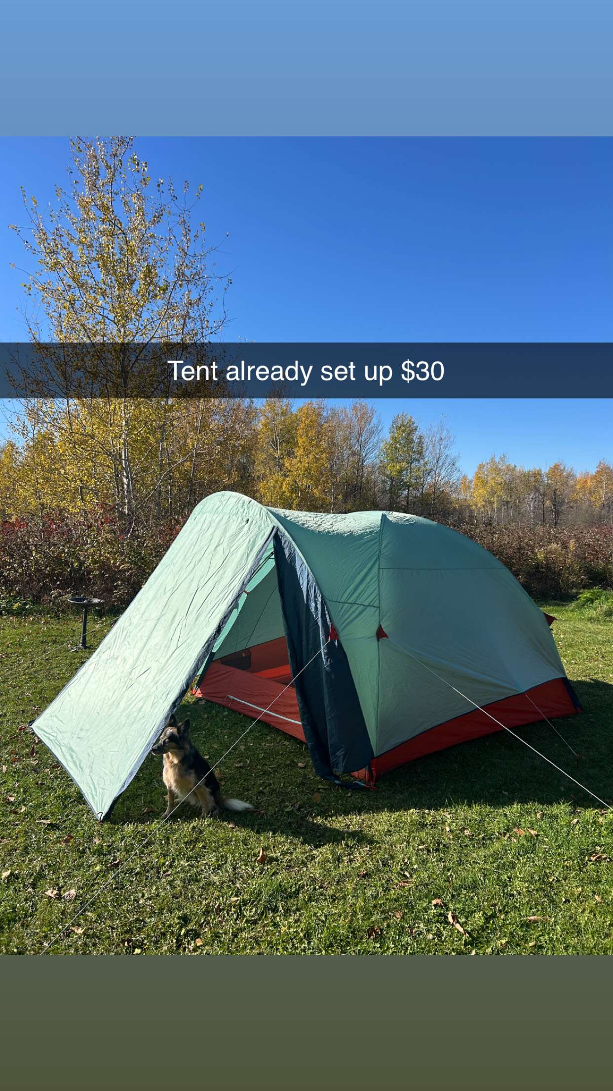 Off Grid Stargazing