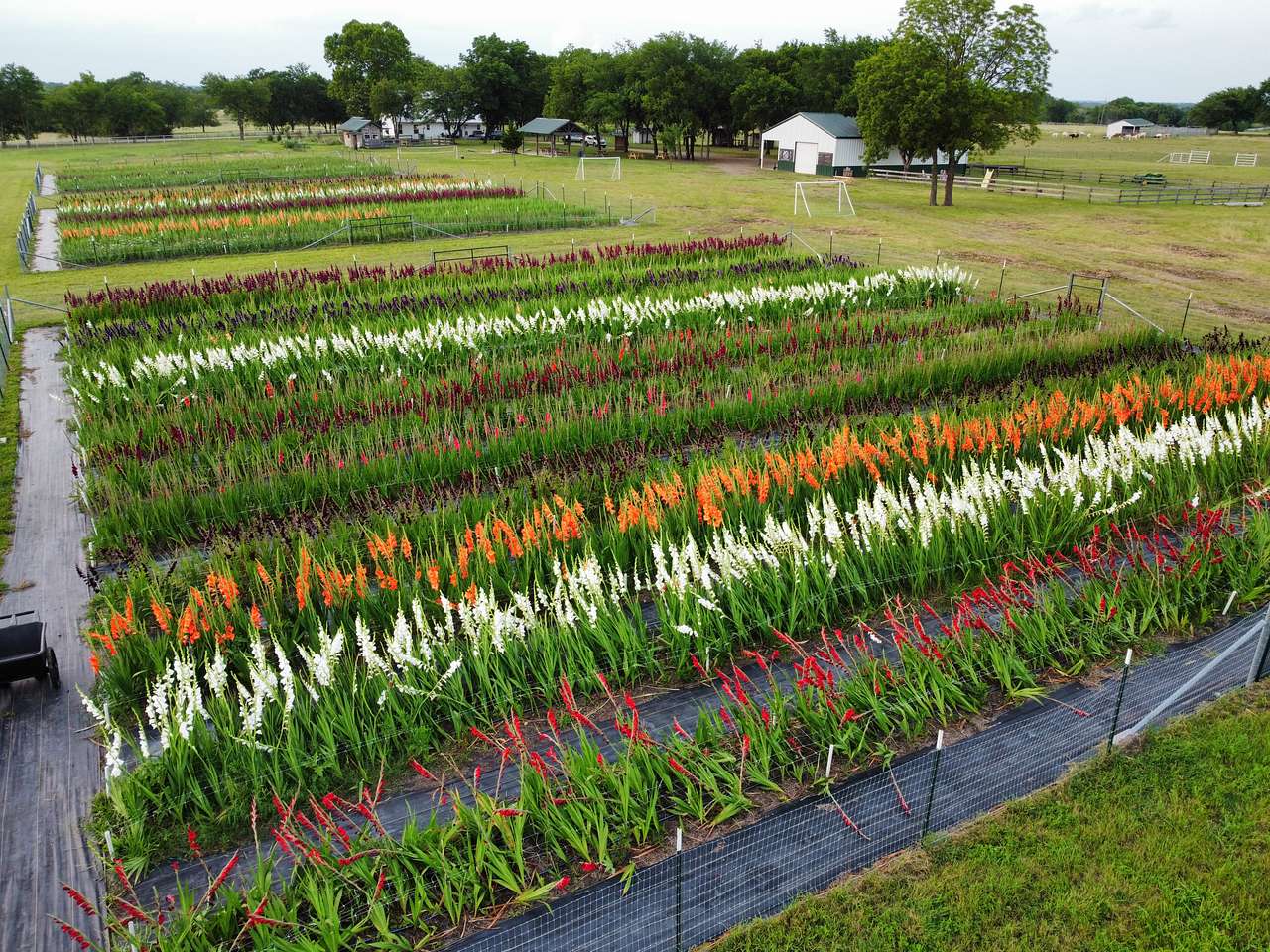 Mars Hill Farm