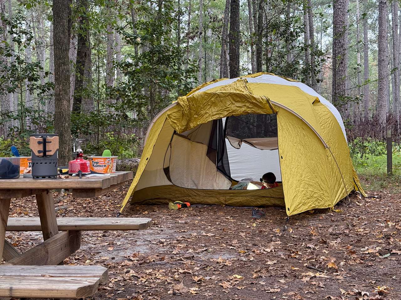 Congaree National Park