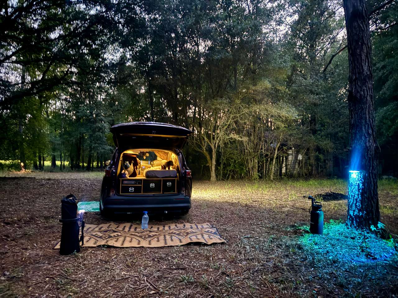 Parked within the wooded area (see blue solar light on tree) 