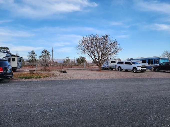 Tulie Pines