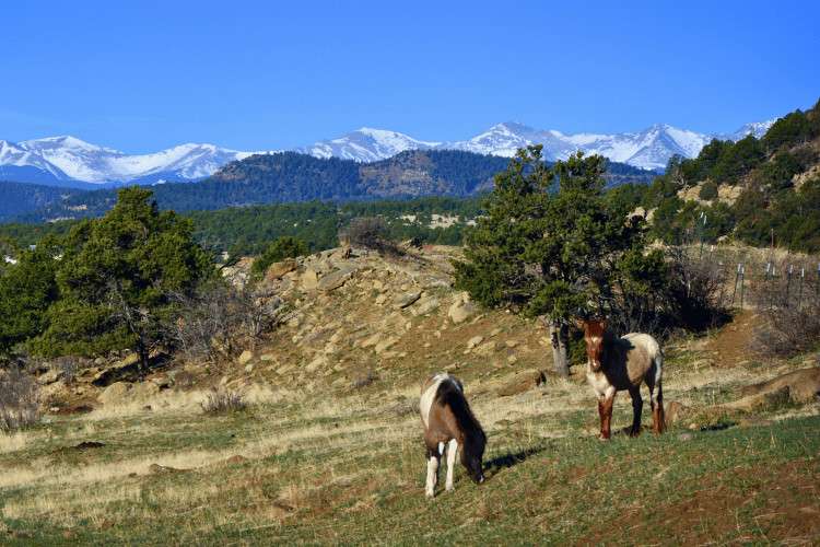 Spanish Peaks Campground Bar and Grill