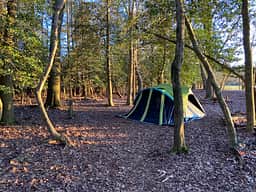 Deer Forest Hideaways