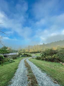 Pisgah Forest Mountain Meadows
