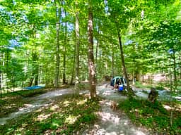 Wide view of campsite W