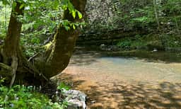 One of the two rivers on the property. This one flows alongside campsite 2 and campsite 4. All guests have hiking access to enjoy the rivers!