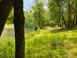 The land.